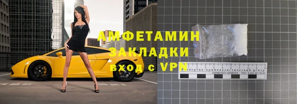 твердый Арсеньев