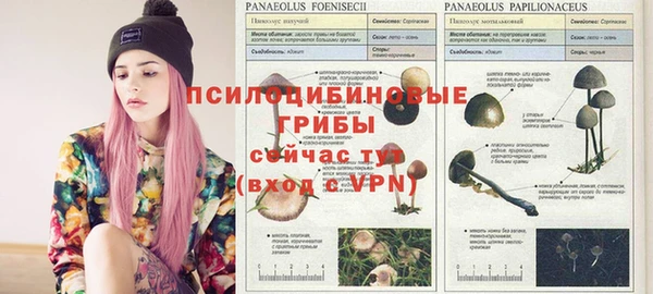 спиды Аркадак