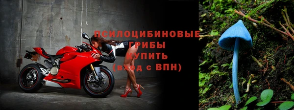 спиды Аркадак